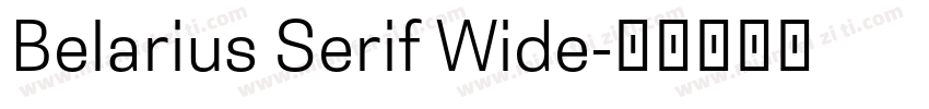 Belarius Serif Wide字体转换